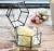 Terrariums SHF020