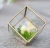 Terrariums SHF021