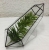 Terrariums SHF022