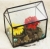 Terrariums SHF016