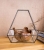 Terrariums SHF011