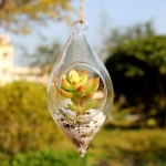 Hanging Glass Holder SHG011