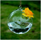 Hanging Glass Holder SHG004,005,006