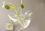 Hanging Glass Holder SHG015