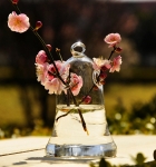 Hanging Glass Holder SHG018