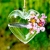 Hanging Glass Holder SHG016