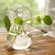Hanging Glass Holder SHG013