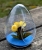 Hanging Glass Holder SHG014