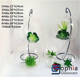 Glass vase with holder HB09