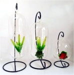 Glass vase with holder HB10