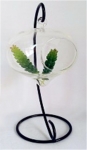 Glass vase with holder HB18