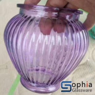 glass jars SRZ021
