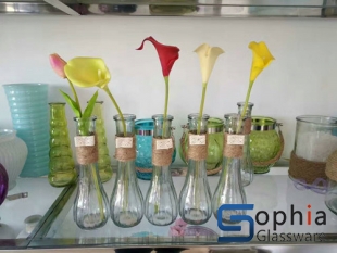 glass vases SRZ016