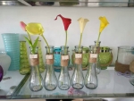 glass vases SRZ016