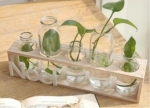 glass jars SRZ022