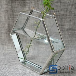Terrariums SHF041