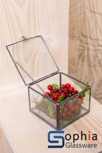 Glass Terrarium SHF101