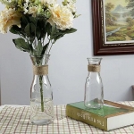 Machine Made Cylinder Glass Vase 