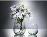 glass vases
